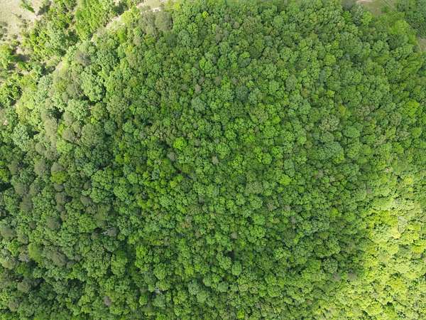 5 Acres of Land for Sale in Wickes, Arkansas