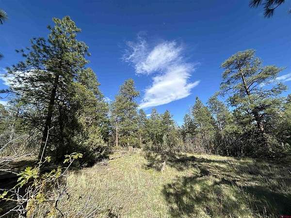 1.45 Acres of Residential Land for Sale in Pagosa Springs, Colorado