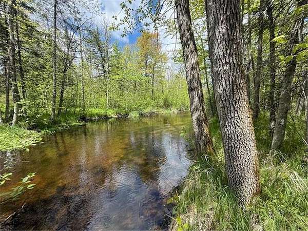 0.88 Acres of Land for Sale in Dell Grove Township, Minnesota