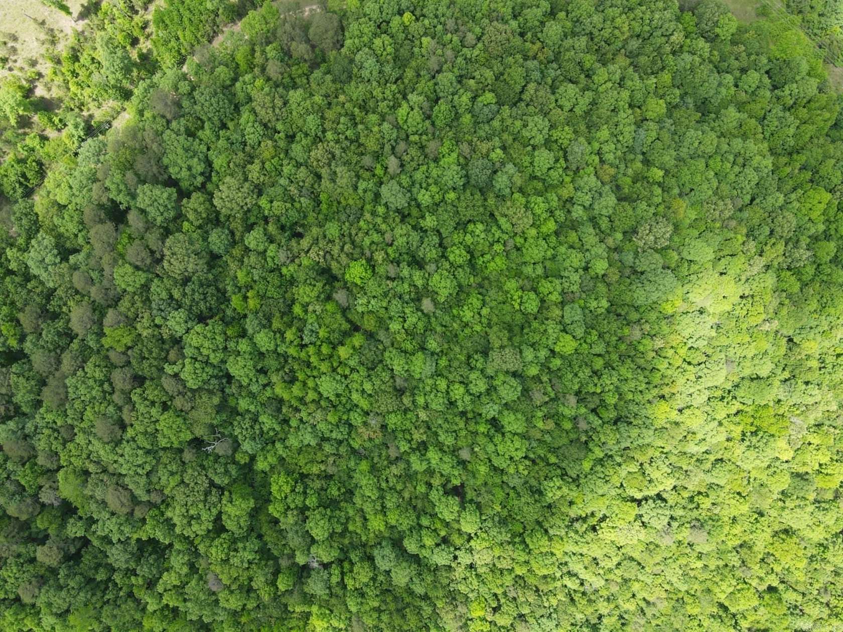 5 Acres of Land for Sale in Wickes, Arkansas