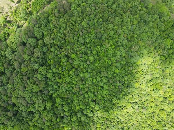 5 Acres of Land for Sale in Wickes, Arkansas