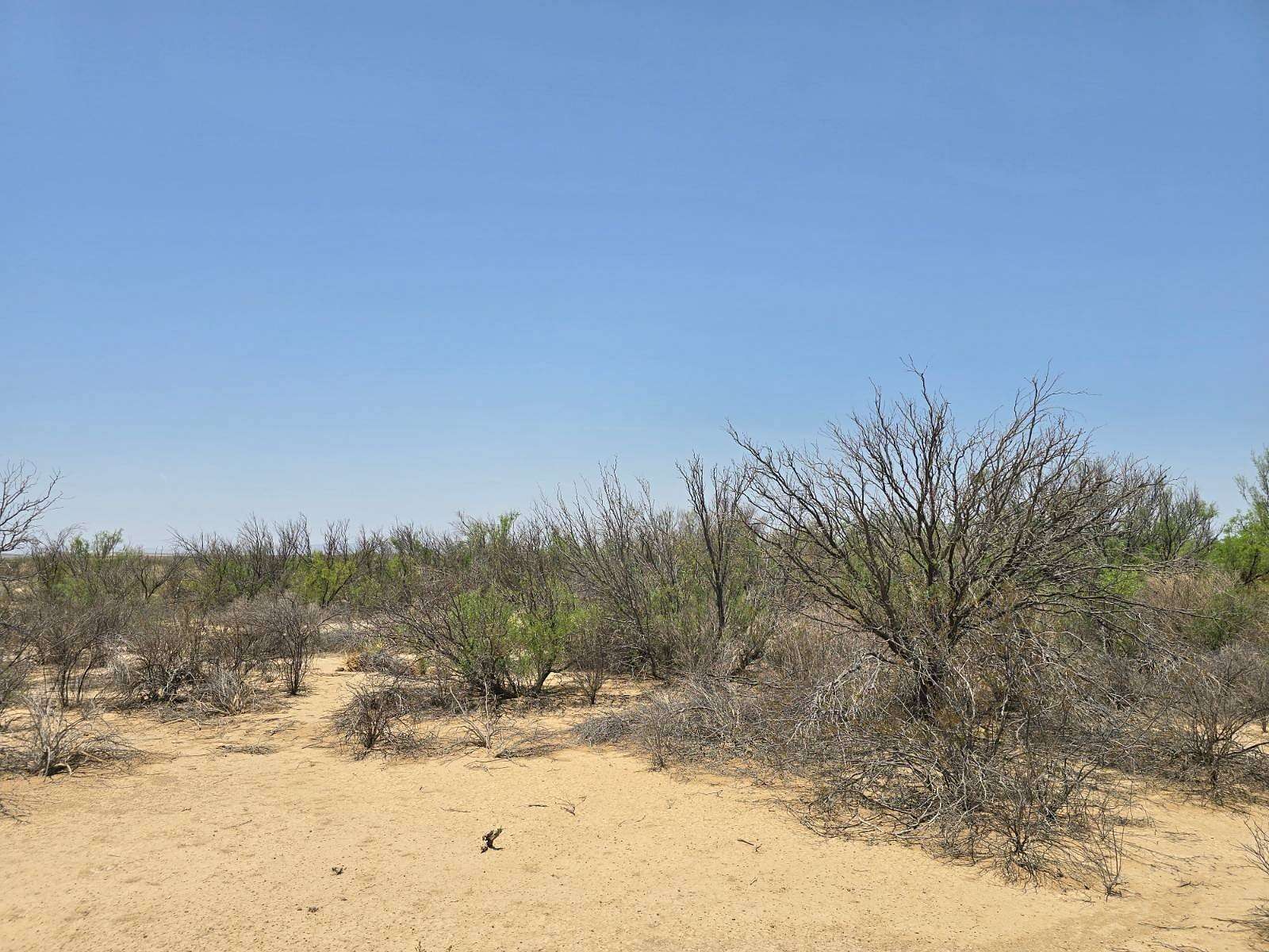 10 Acres of Residential Land for Sale in Terlingua, Texas