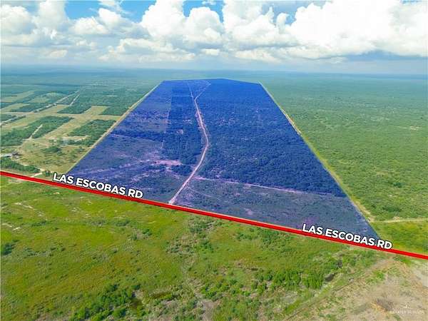 315 Acres of Agricultural Land for Sale in Roma, Texas