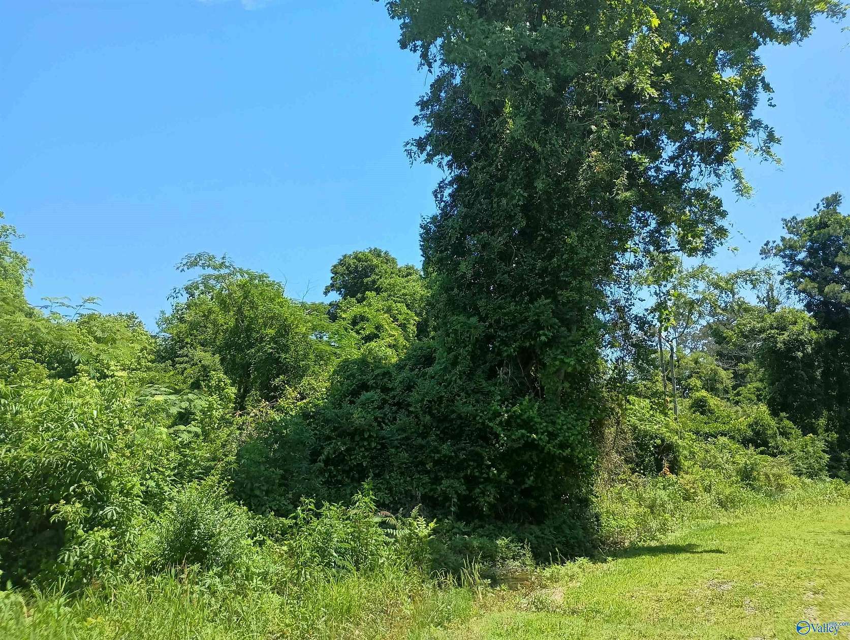 Residential Land for Sale in Gadsden, Alabama