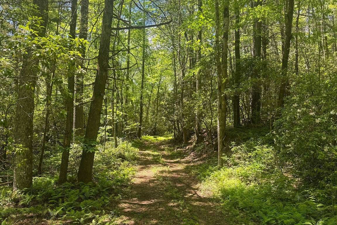 5.83 Acres of Mixed-Use Land for Sale in Cashiers, North Carolina