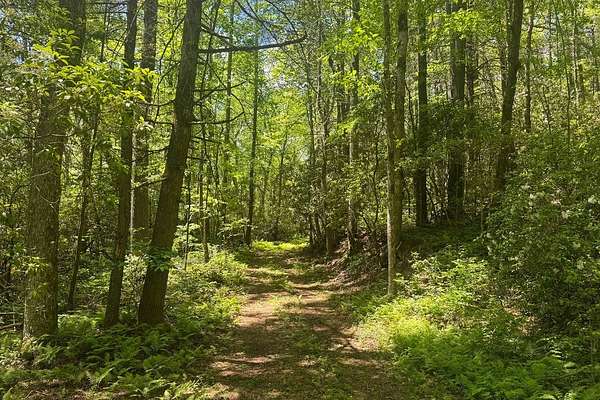 5.83 Acres of Mixed-Use Land for Sale in Cashiers, North Carolina