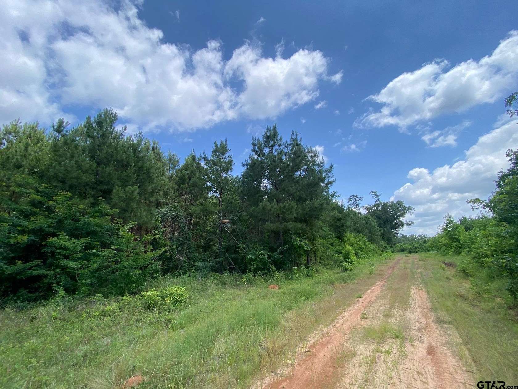 67.5 Acres of Recreational Land for Sale in Rusk, Texas