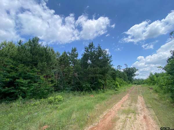 67.5 Acres of Recreational Land for Sale in Rusk, Texas