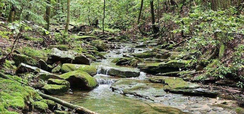 5.47 Acres of Land for Sale in Dunlap, Tennessee