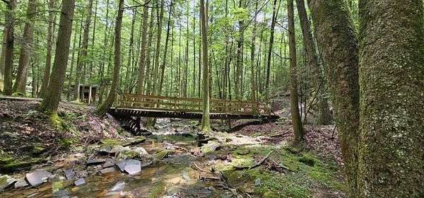 5.47 Acres of Land for Sale in Dunlap, Tennessee