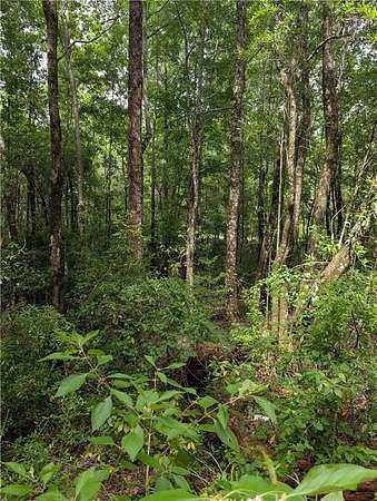 2.76 Acres of Residential Land for Sale in Wilmer, Alabama