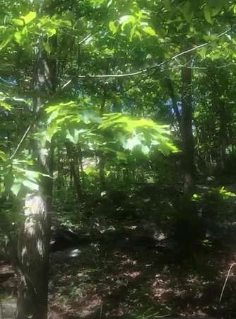 0.18 Acres of Land for Sale in Greenwood Lake, New York