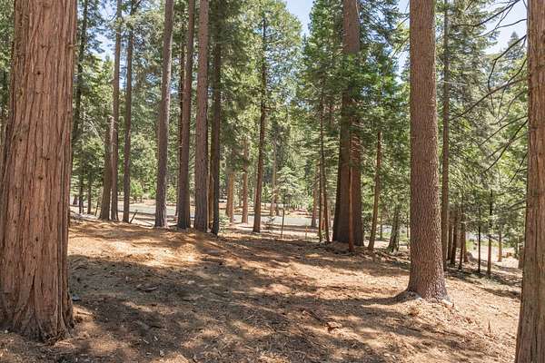 0.6 Acres of Residential Land for Sale in Camp Connell, California