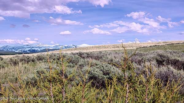 19.3 Acres of Land for Sale in Tetonia, Idaho