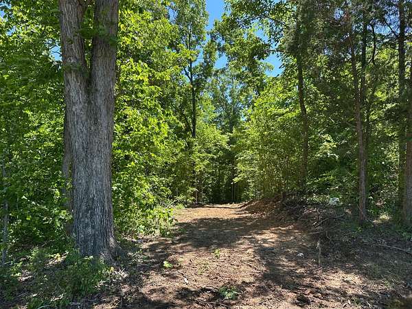 10 Acres of Recreational Land for Sale in Bowling Green, Kentucky