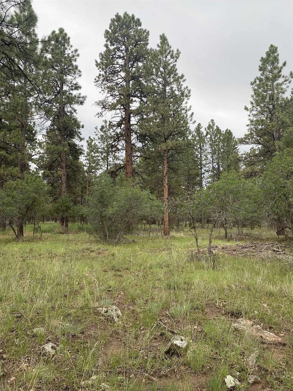 1 Acre of Residential Land for Sale in Ridgway, Colorado