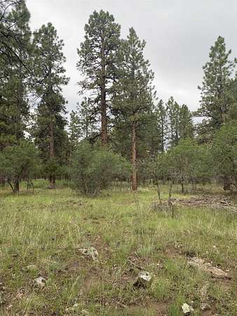 1 Acre of Residential Land for Sale in Ridgway, Colorado