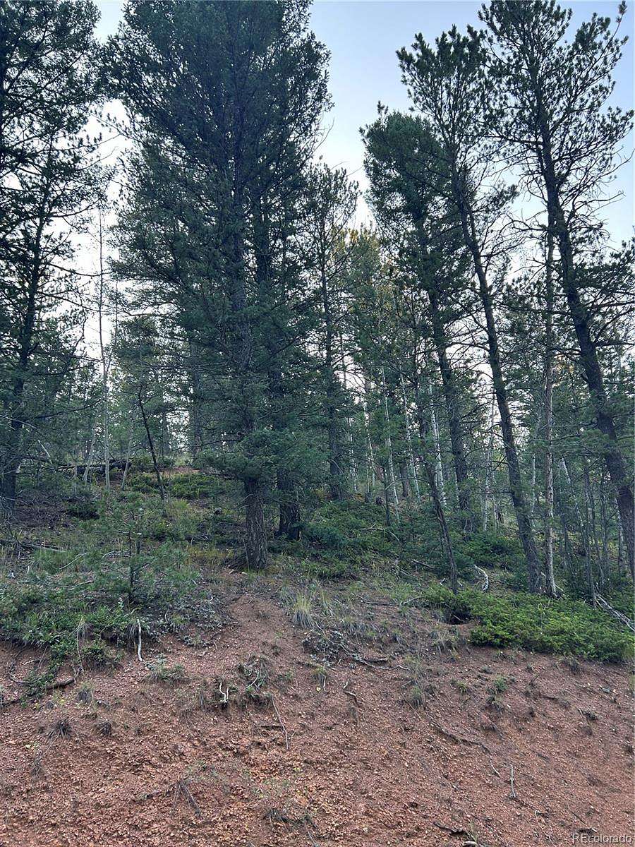 1 Acre of Residential Land for Sale in Divide, Colorado