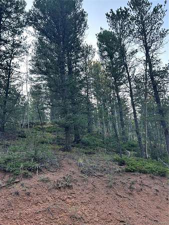 1 Acre of Residential Land for Sale in Divide, Colorado