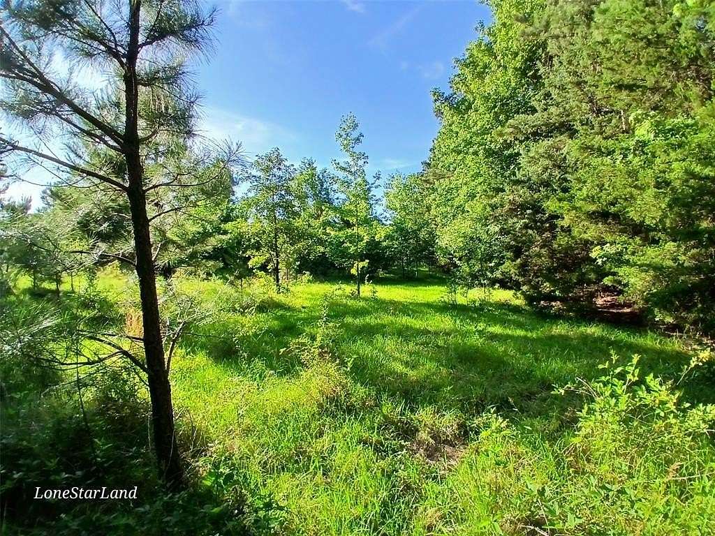 1 Acre of Land for Sale in Pittsburg, Texas