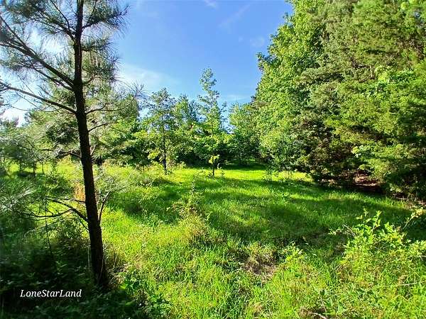 1 Acre of Land for Sale in Pittsburg, Texas