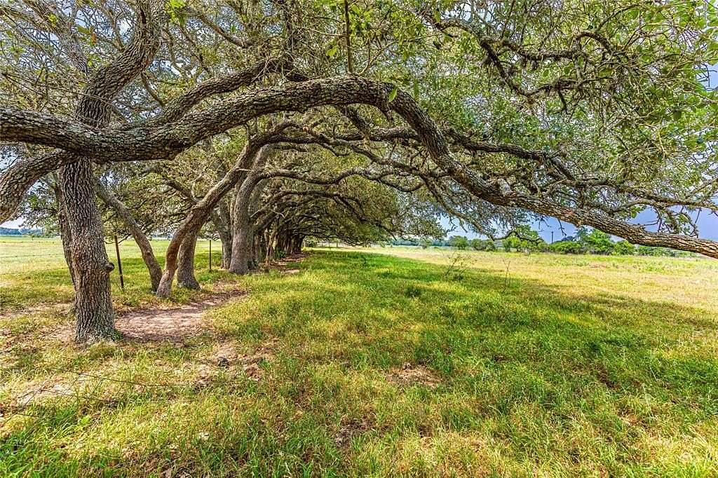 145 Acres of Land for Sale in Columbus, Texas