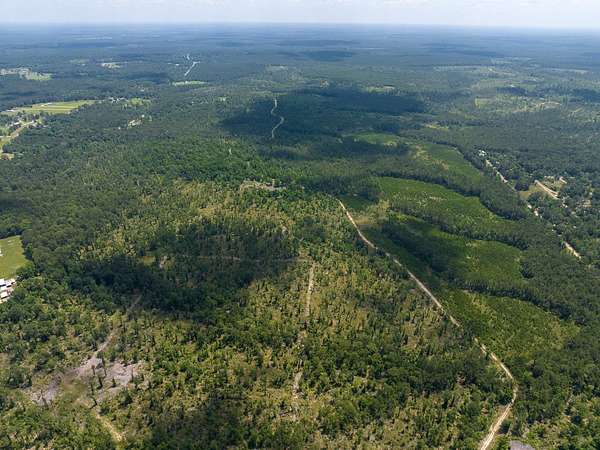 1,800 Acres of Recreational Land for Sale in Trinity, Texas