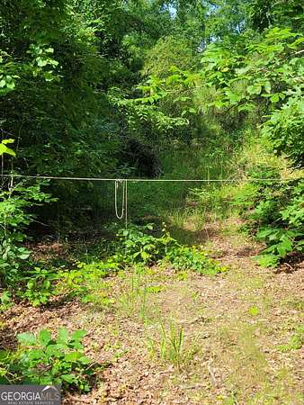 8 Acres of Residential Land for Sale in Locust Grove, Georgia