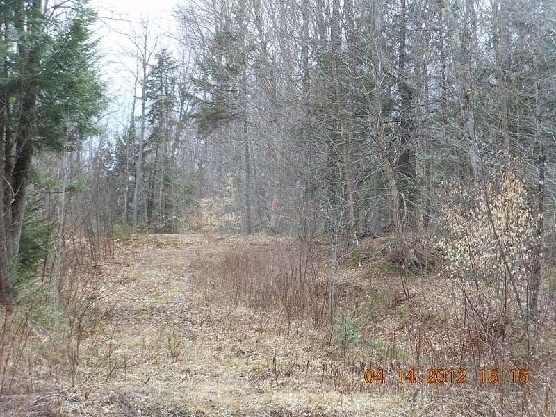 8.9 Acres of Residential Land for Sale in Wolcott, Vermont