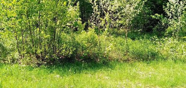8.9 Acres of Residential Land for Sale in Wolcott, Vermont