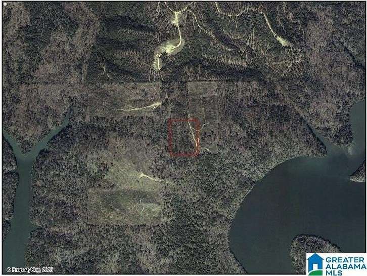 7.5 Acres of Land for Sale in Oneonta, Alabama