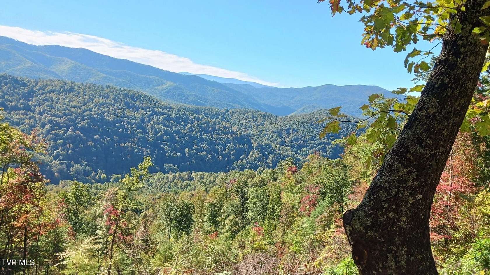 7.63 Acres of Residential Land for Sale in Butler, Tennessee