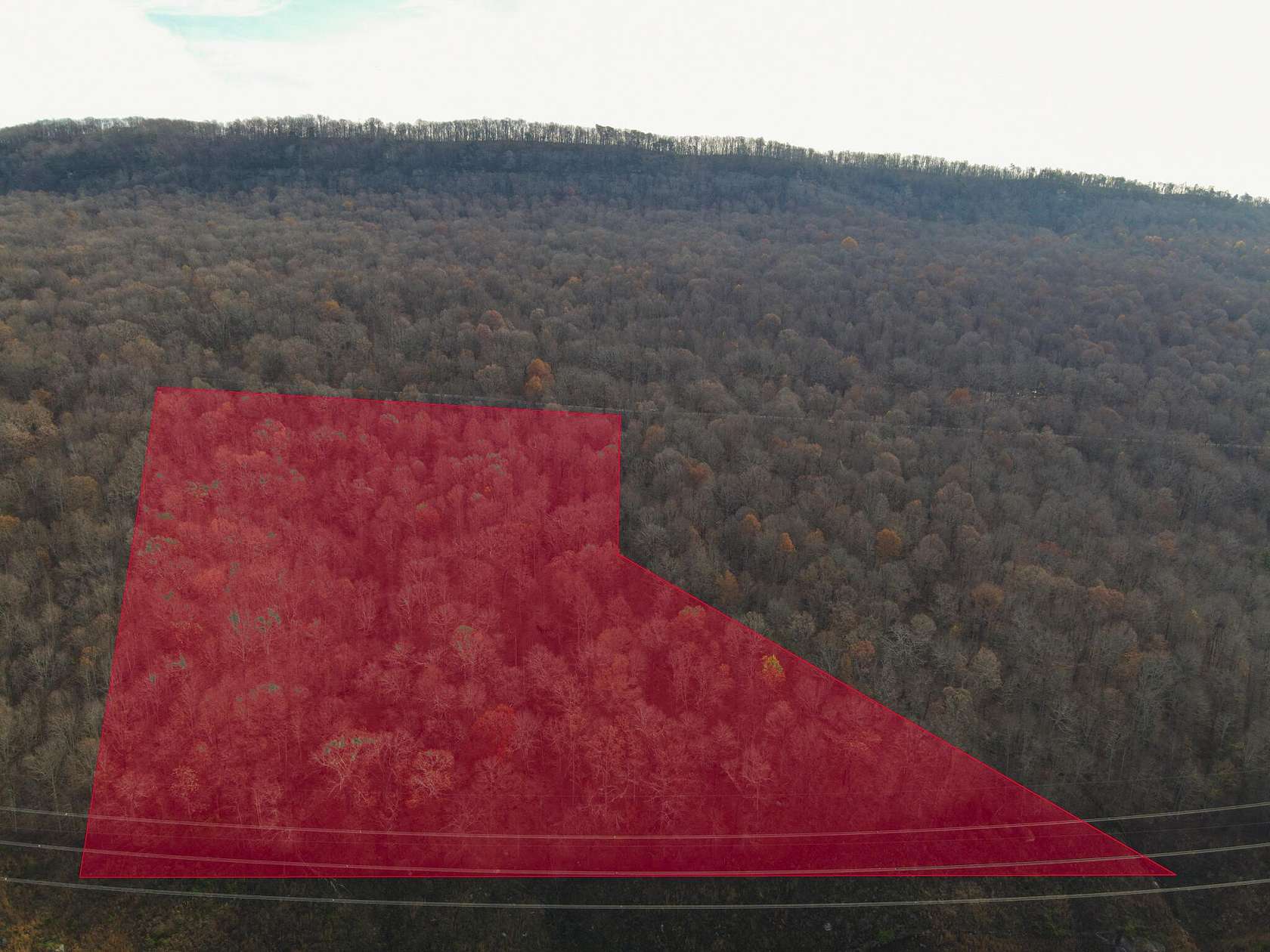 20 Acres of Recreational & Residential Land for Sale in Whitwell, Tennessee