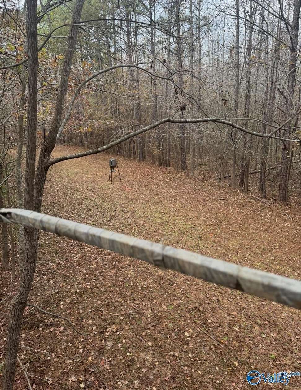 40 Acres of Recreational Land for Sale in Hamilton, Alabama