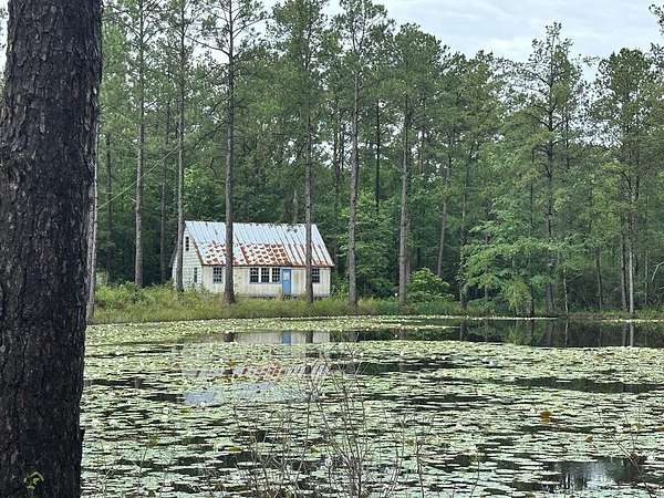 20 Acres of Recreational Land with Home for Sale in Poplarville, Mississippi