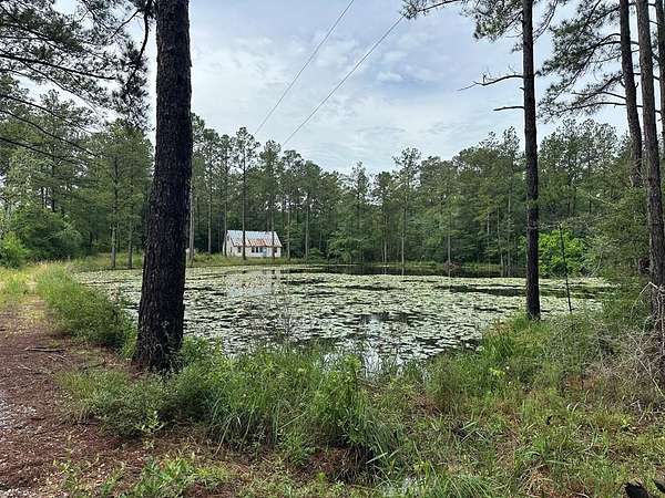20 Acres of Recreational Land with Home for Sale in Poplarville, Mississippi