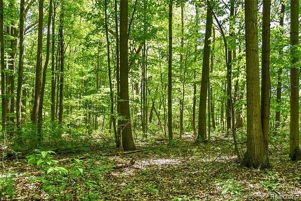 2 Acres of Residential Land for Sale in Arcadia Township, Michigan