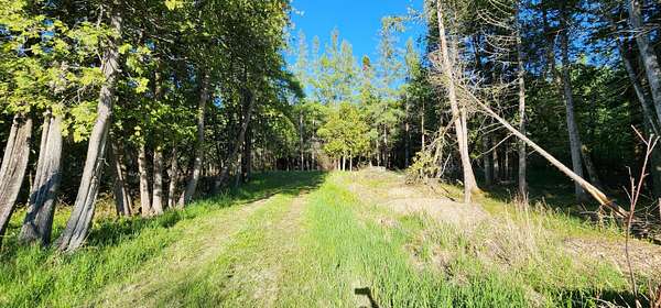 0.75 Acres of Residential Land for Sale in Hessel, Michigan