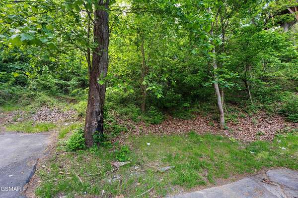 Commercial Land for Sale in Pigeon Forge, Tennessee