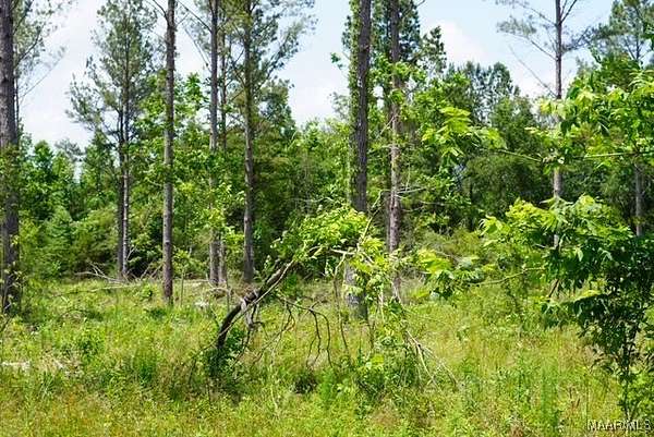 103 Acres of Recreational Land for Sale in Forest Home, Alabama