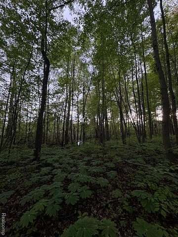 2.69 Acres of Residential Land for Sale in Highland, Michigan