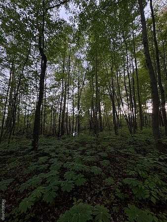 2.69 Acres of Residential Land for Sale in Highland, Michigan