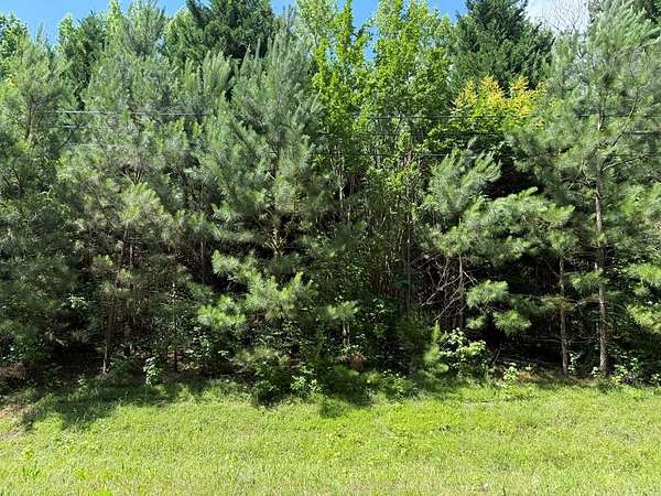 2 Acres of Residential Land for Sale in Warm Springs, Georgia