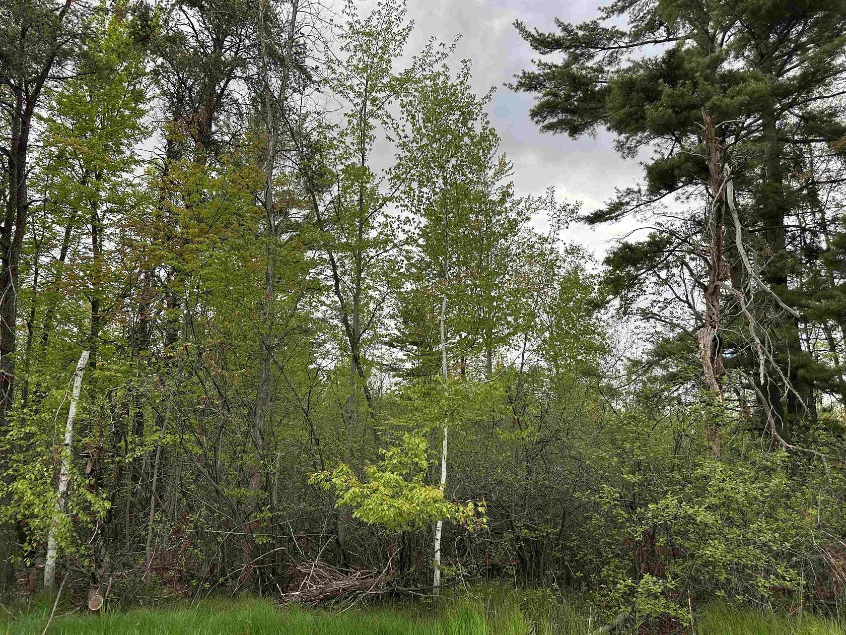 0.72 Acres of Residential Land for Sale in Peshtigo, Wisconsin