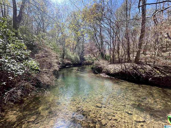 150 Acres of Recreational Land for Sale in Adger, Alabama