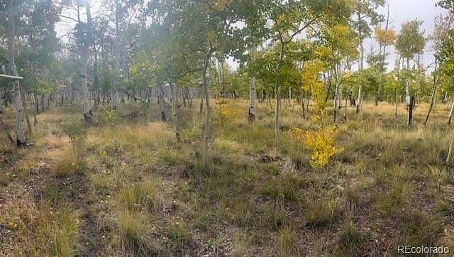 3.5 Acres of Residential Land for Sale in Hartsel, Colorado