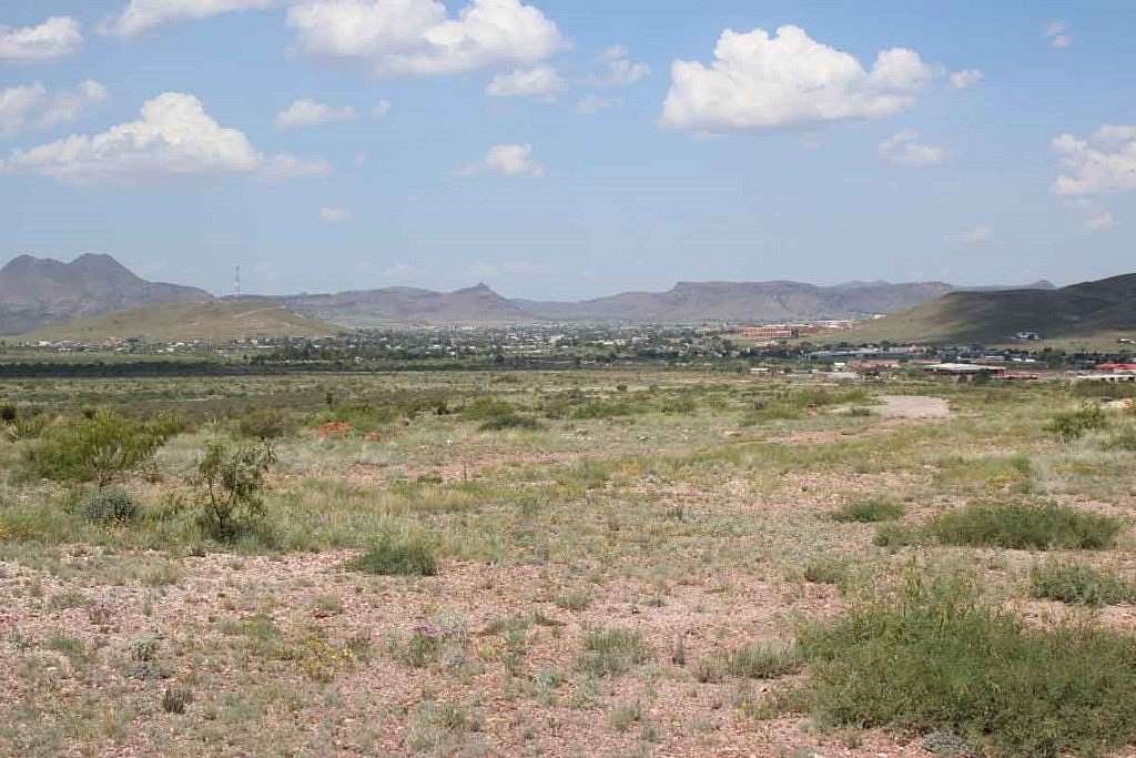 55.6 Acres of Agricultural Land for Sale in Alpine, Texas