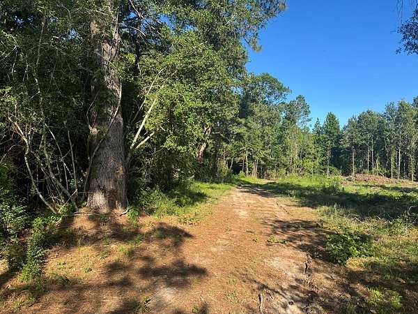 10 Acres of Recreational Land for Sale in Zavalla, Texas