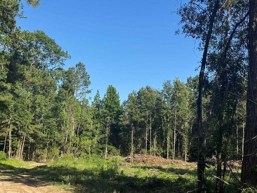 24 Acres of Recreational Land for Sale in Zavalla, Texas