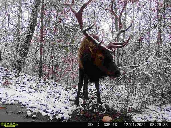 150 Acres of Recreational Land for Sale in Van Lear, Kentucky